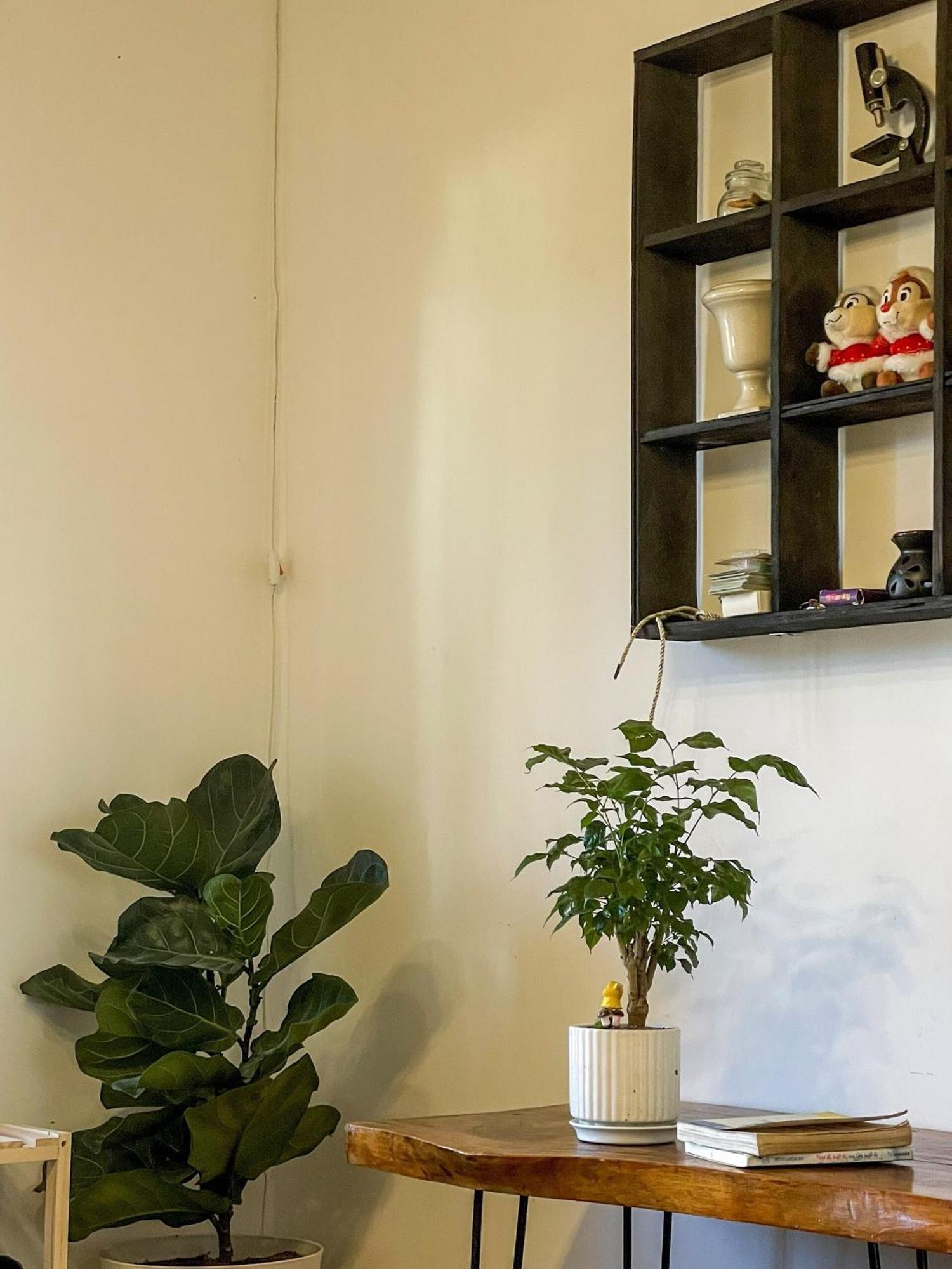 Hat De Homestay Đà Lạt Ngoại thất bức ảnh