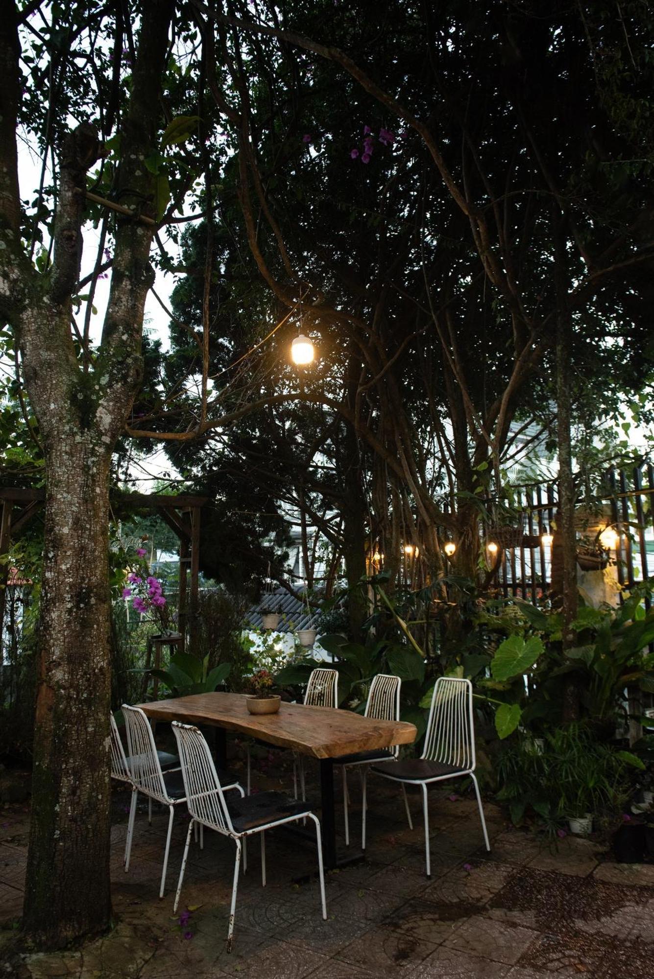 Hat De Homestay Đà Lạt Ngoại thất bức ảnh