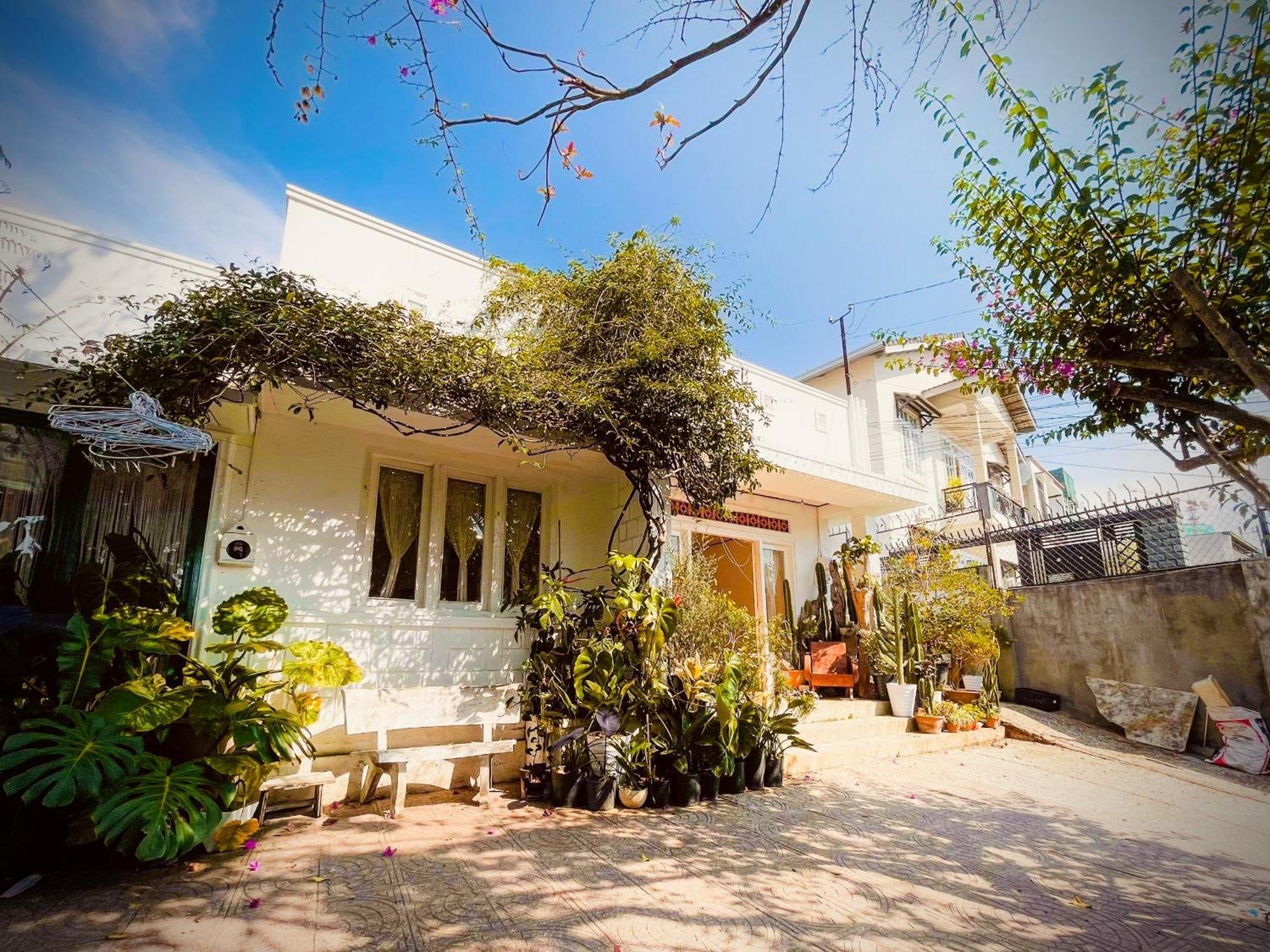 Hat De Homestay Đà Lạt Ngoại thất bức ảnh