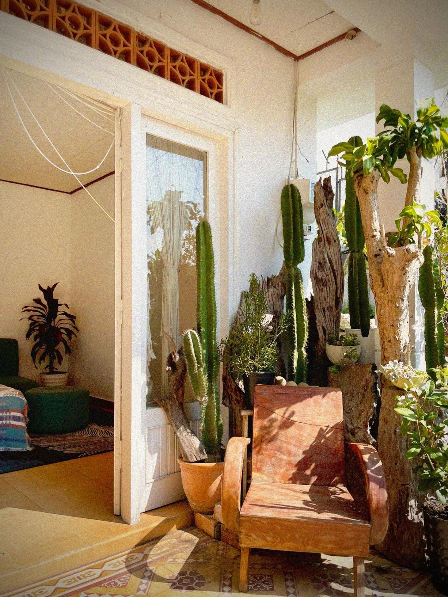 Hat De Homestay Đà Lạt Ngoại thất bức ảnh