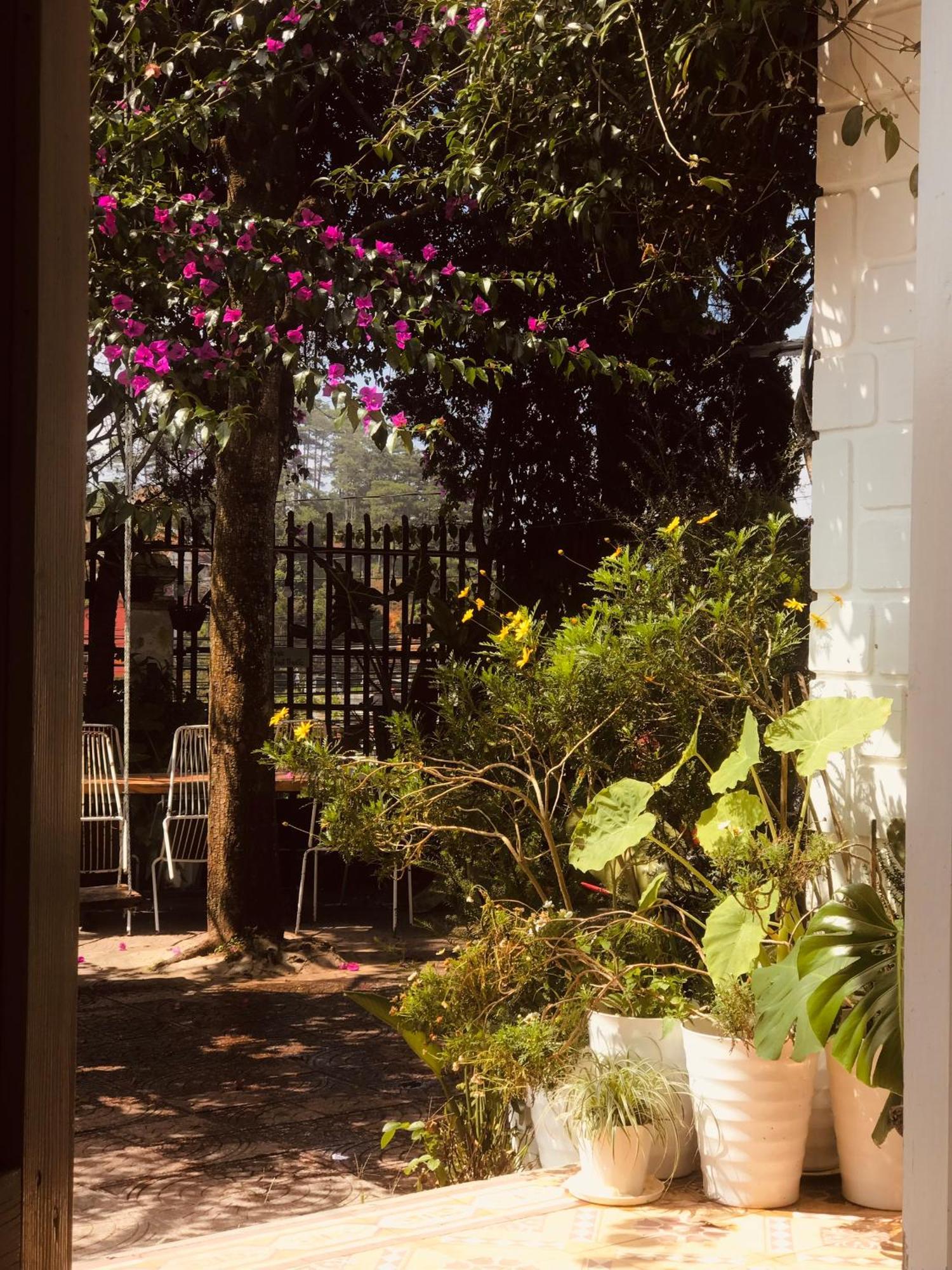 Hat De Homestay Đà Lạt Ngoại thất bức ảnh
