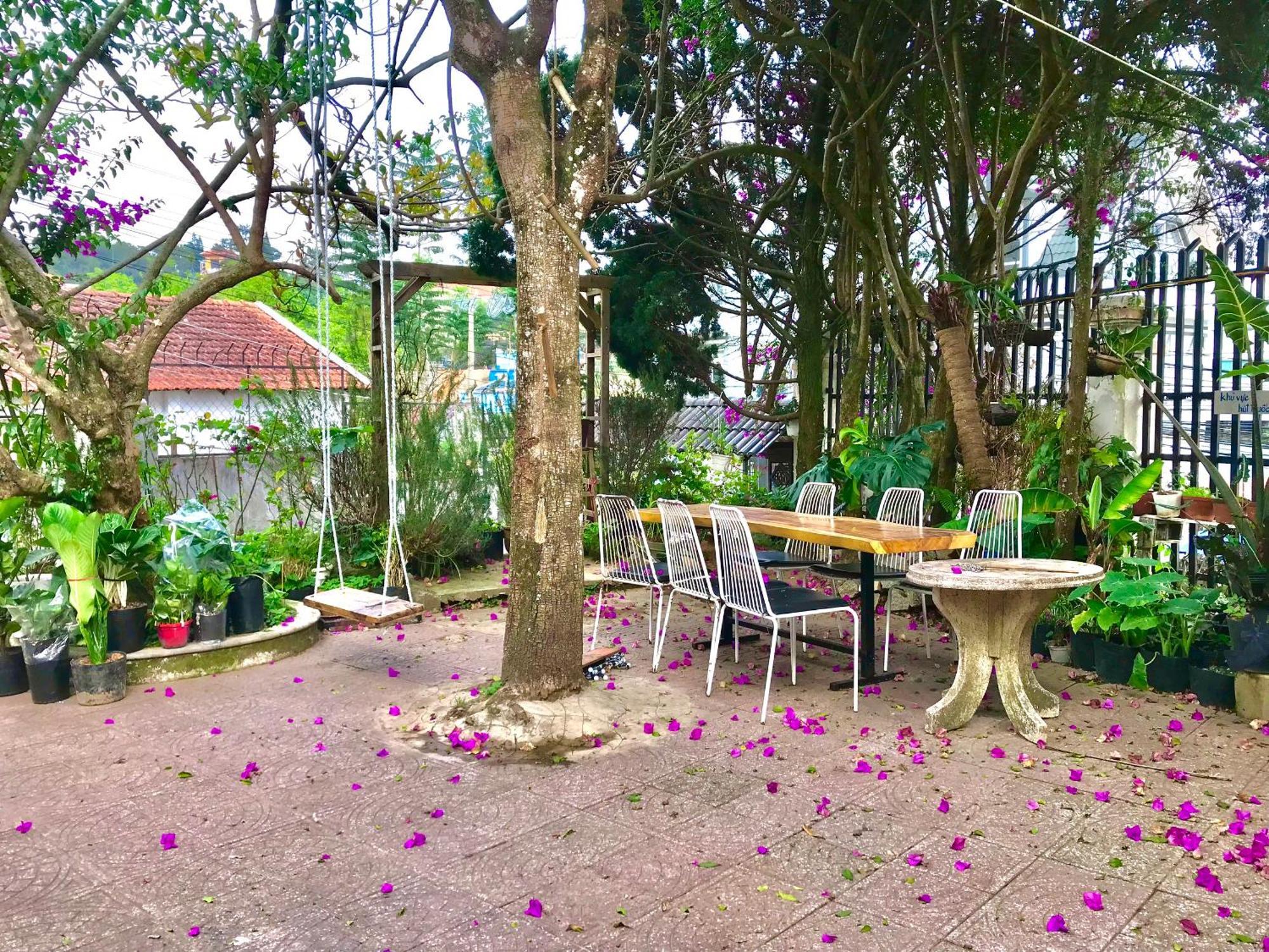 Hat De Homestay Đà Lạt Ngoại thất bức ảnh