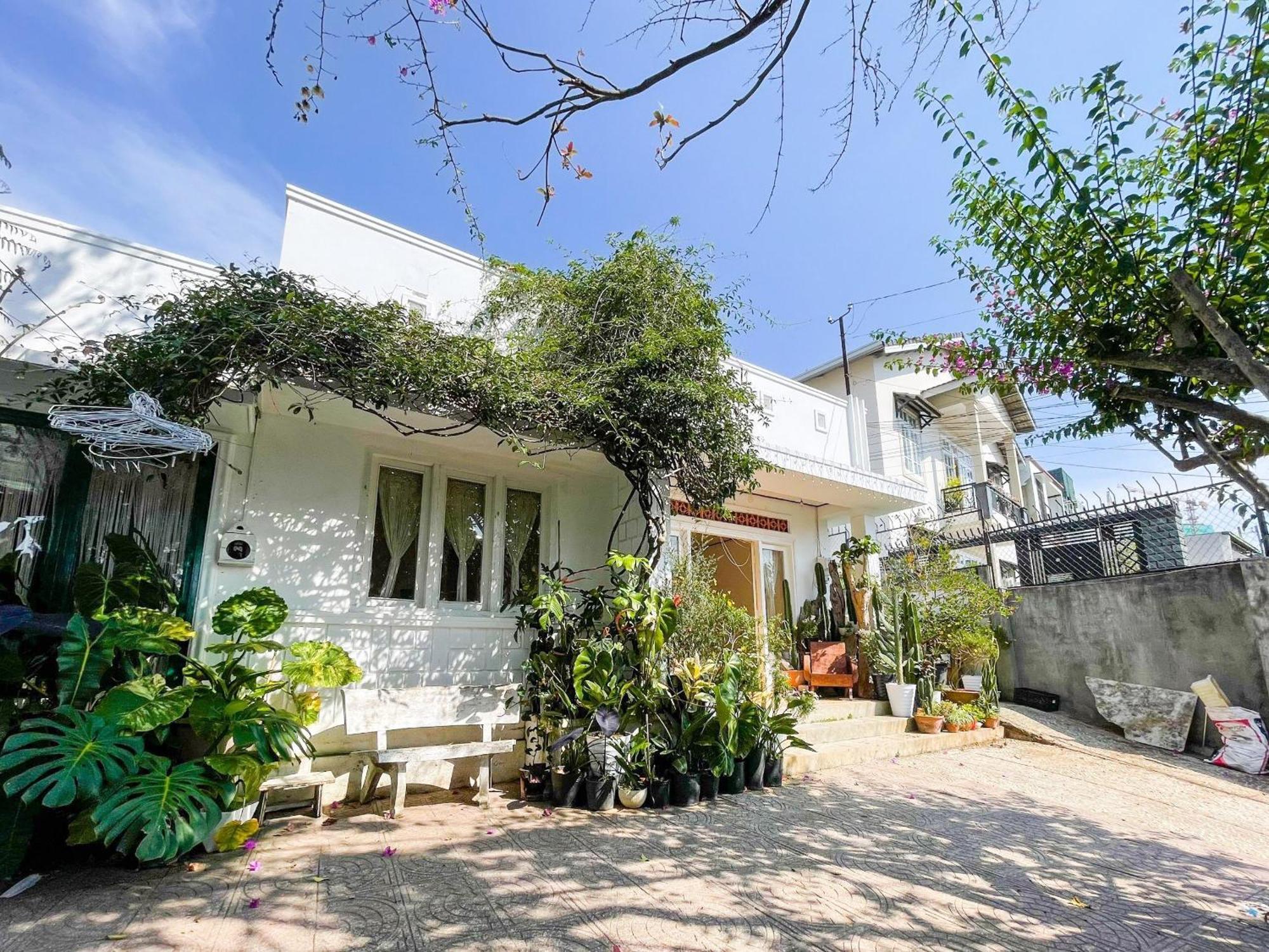 Hat De Homestay Đà Lạt Ngoại thất bức ảnh