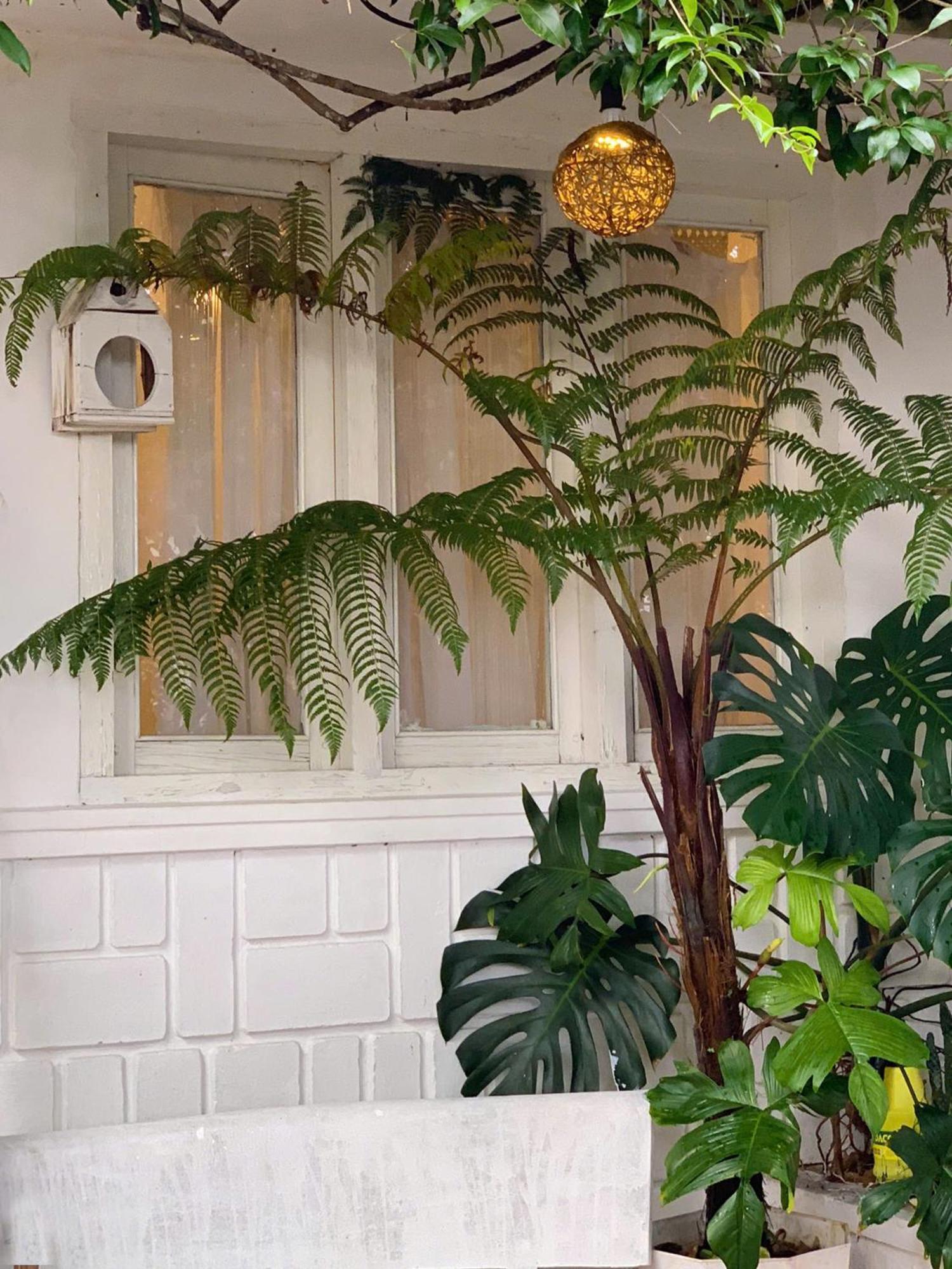 Hat De Homestay Đà Lạt Ngoại thất bức ảnh