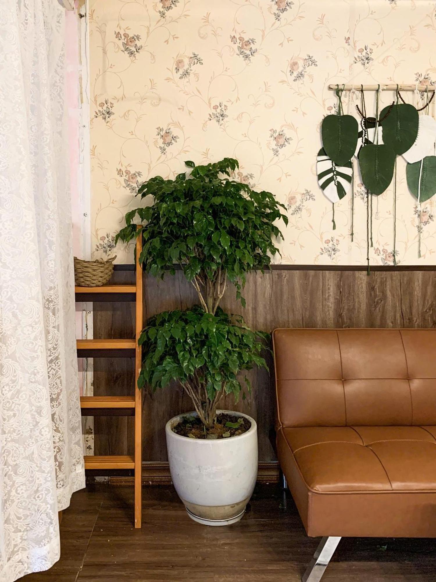 Hat De Homestay Đà Lạt Ngoại thất bức ảnh
